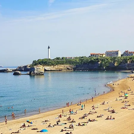 Confort, Halles Et A Pied Centre *
